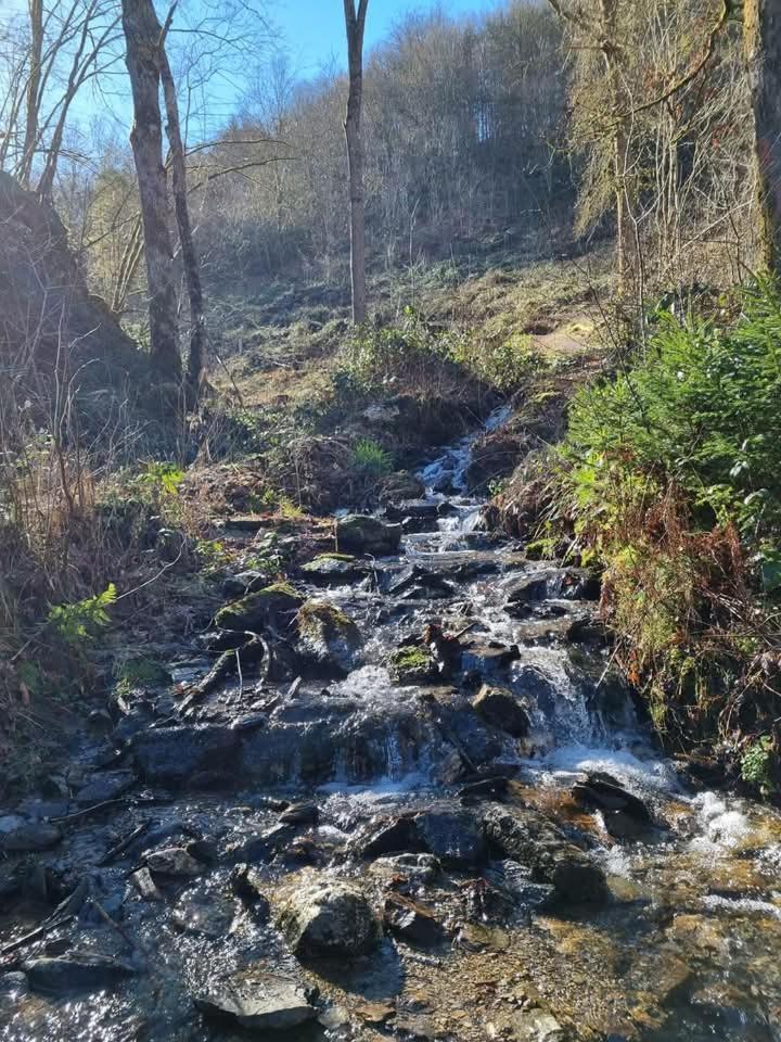 Au Vieux Lavoir Alle Esterno foto